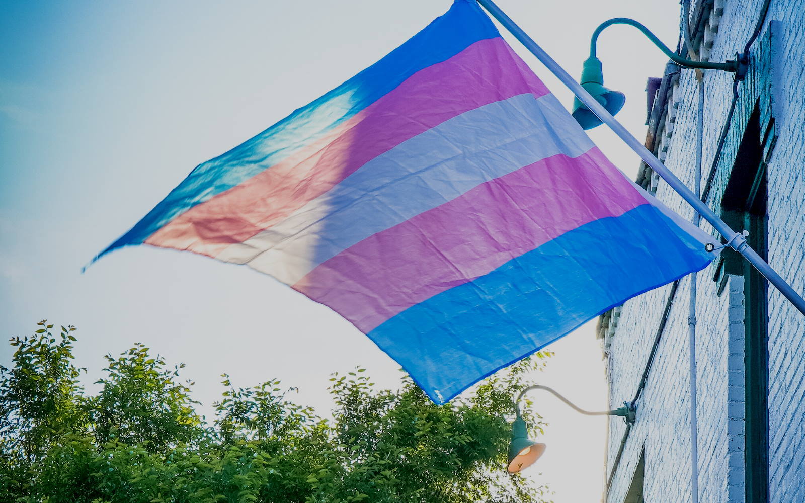 Trans Flagge weht im Wind